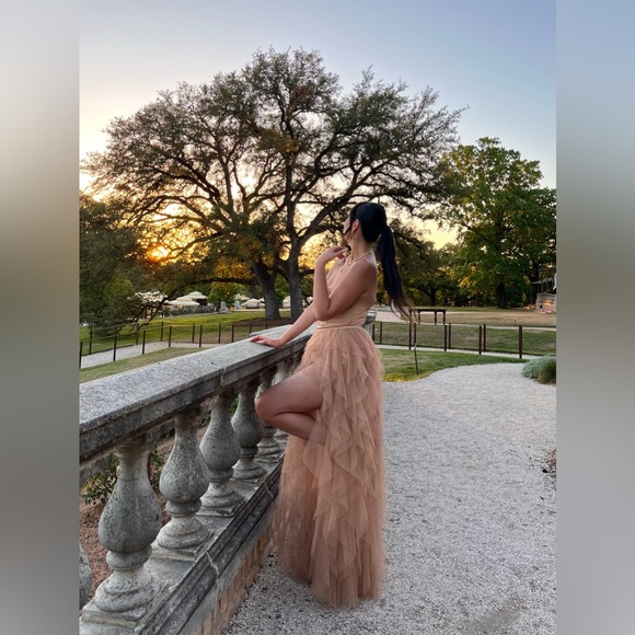 FL&L Bustier Gown in taupe (dusty pink) - Picture 2 of 2